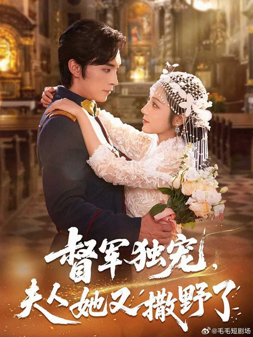 Póster de 督军独宠，夫人她又撒野了