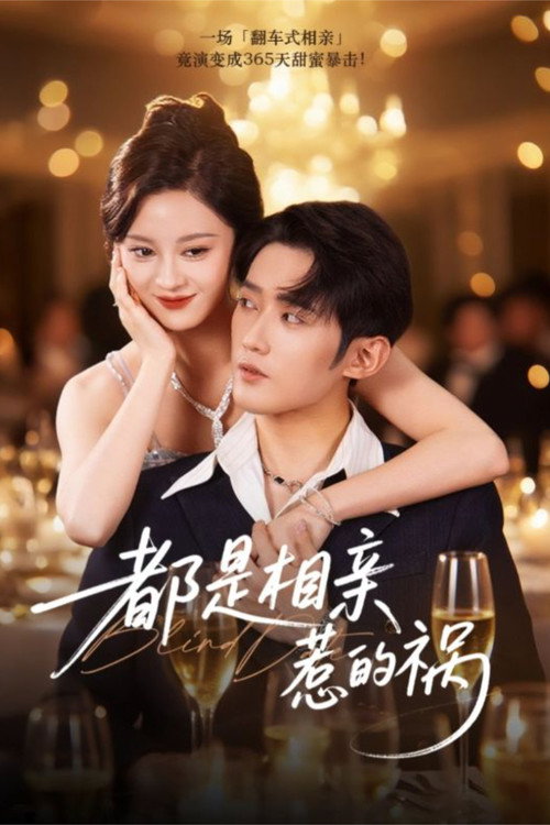 Póster de 都是相亲惹的祸