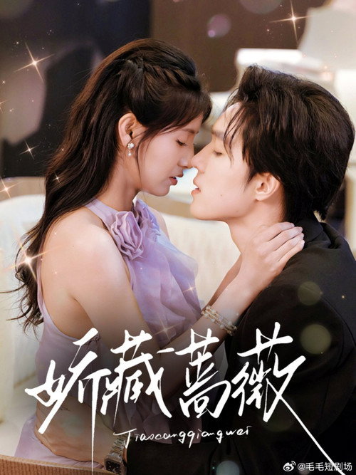 Póster de 娇藏蔷薇