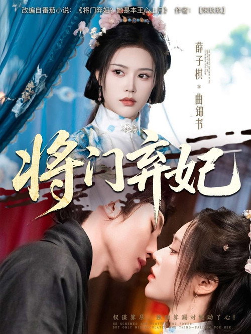 Póster de 将门弃妃