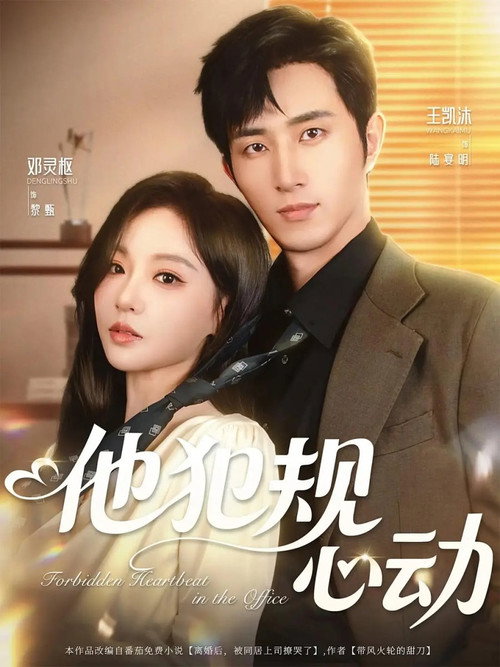 Póster de 他犯规心动
