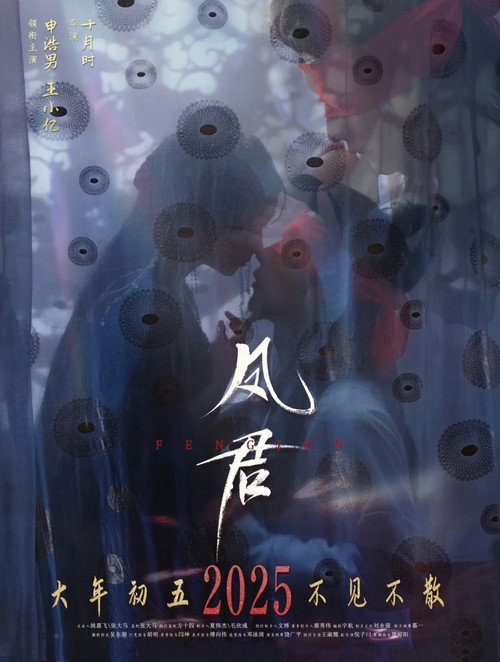 Póster de 凤君