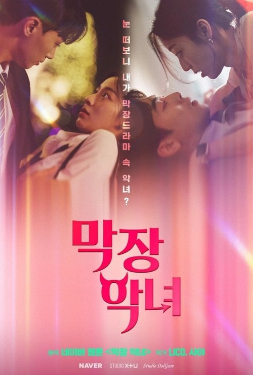 Póster de 막장 악녀