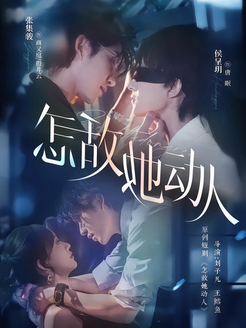 Póster de 怎敌她动人