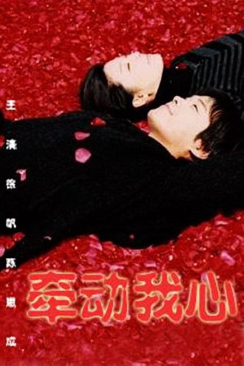 Póster de 牵动我心