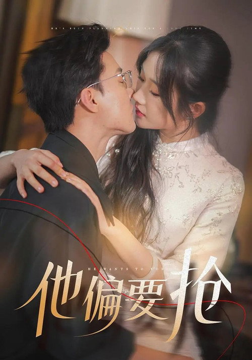 Póster de 他偏要抢