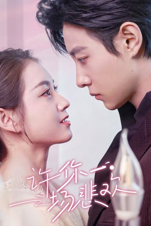 Póster de 许你一场悲欢