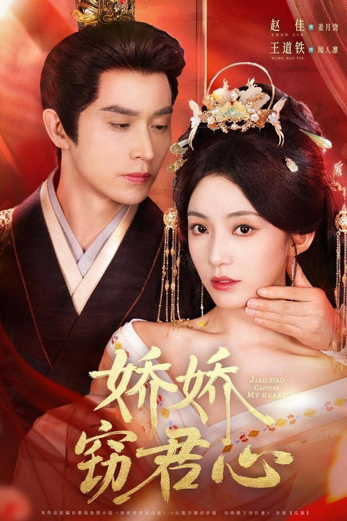Póster de 娇娇窃君心