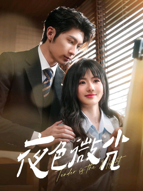 Póster de 夜色微光