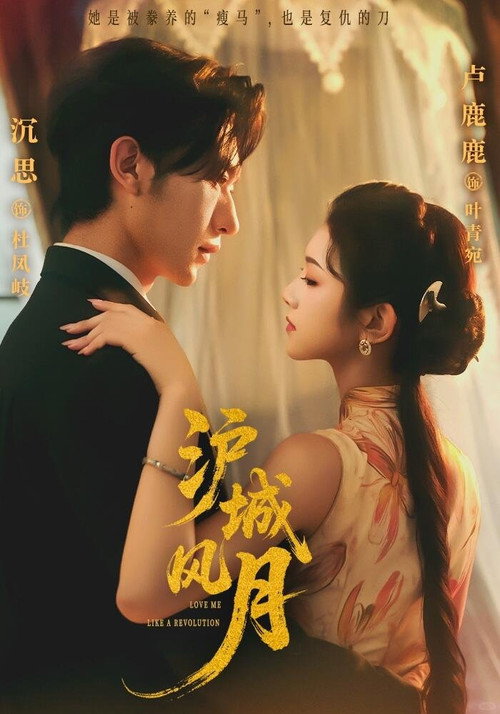 Póster de 沪城风月