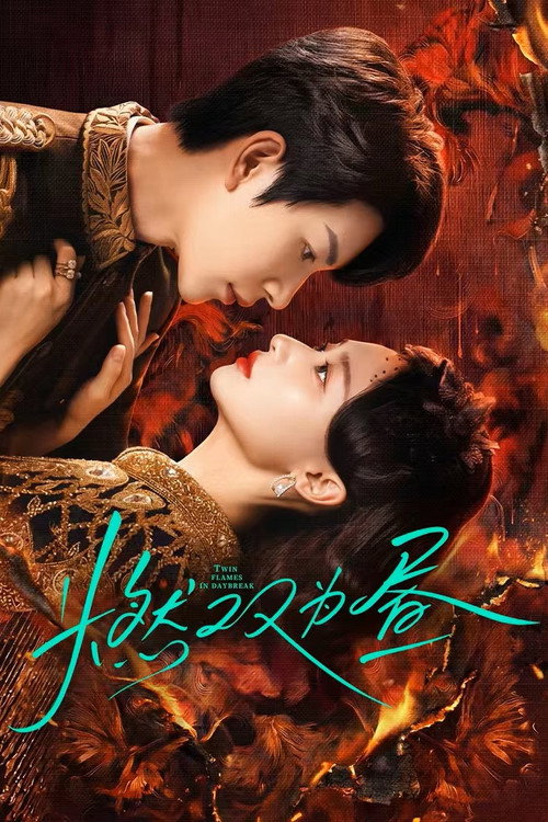 Póster de 燃双为昼