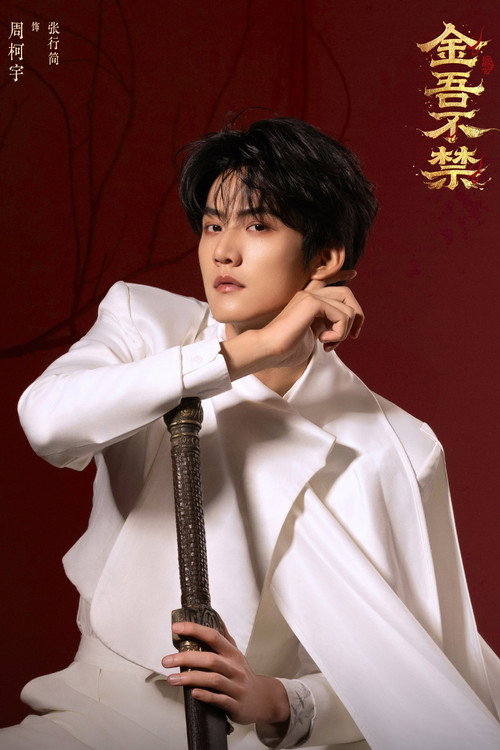 Póster de 金吾不禁