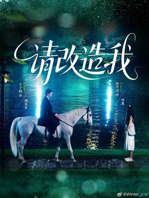 Póster de 请改造我