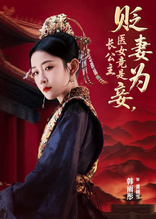 Póster de 贬妻为妾，医女竟是长公主