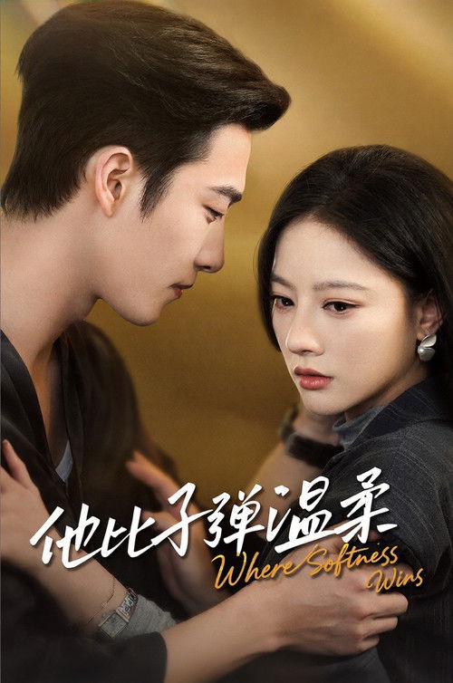 Póster de 他比子弹温柔
