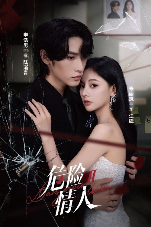 Póster de 危险情人2