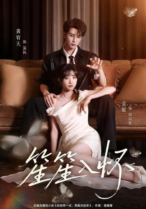 Póster de 笙笙入怀