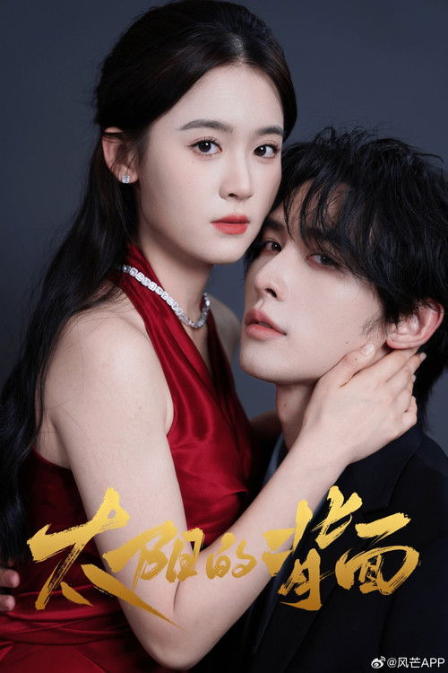 Póster de 太阳的背面