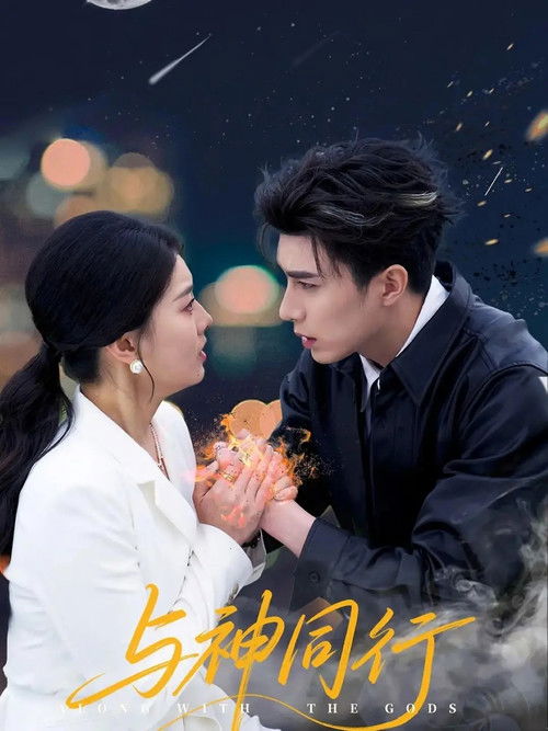 Póster de 与神同行