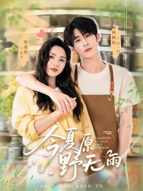Póster de 今夏原野无雨