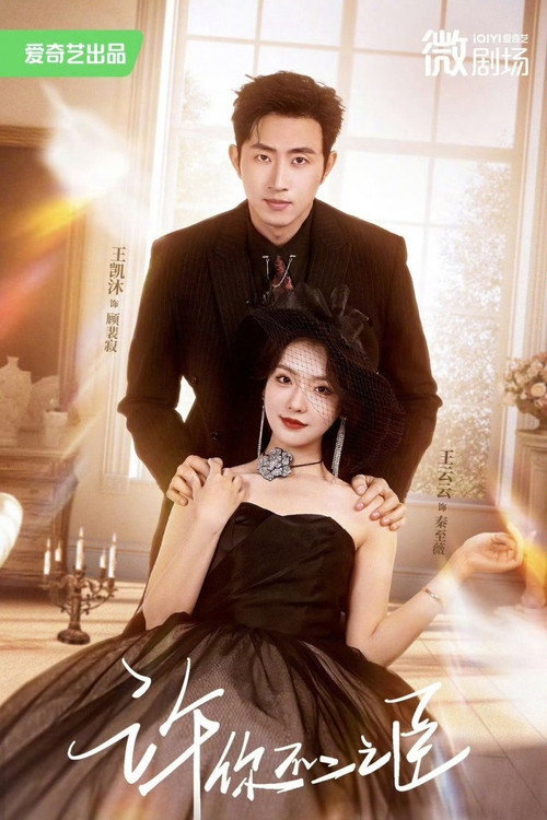 Póster de 许你不二之臣