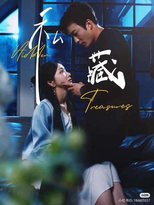 Póster de 私藏