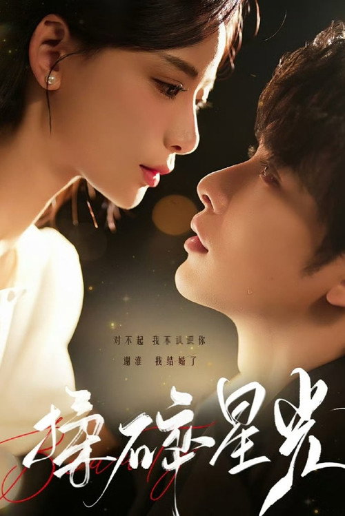 Póster de 揉碎星光