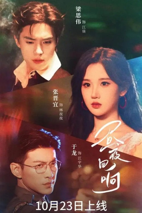 Póster de 昼夜回响