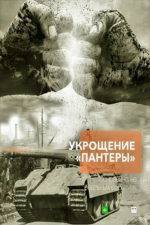 Póster de Укрощение «Пантеры»