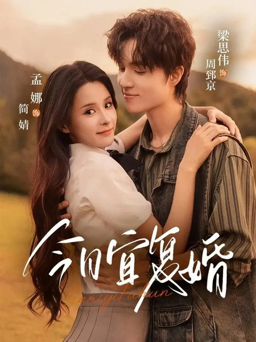 Póster de 今日宜复婚