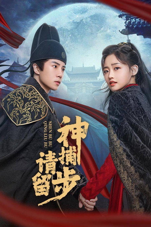 Póster de 神捕请留步