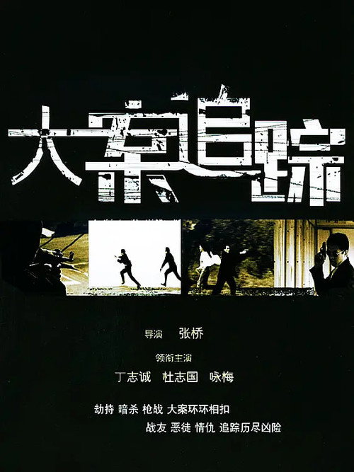 Póster de 大案追踪