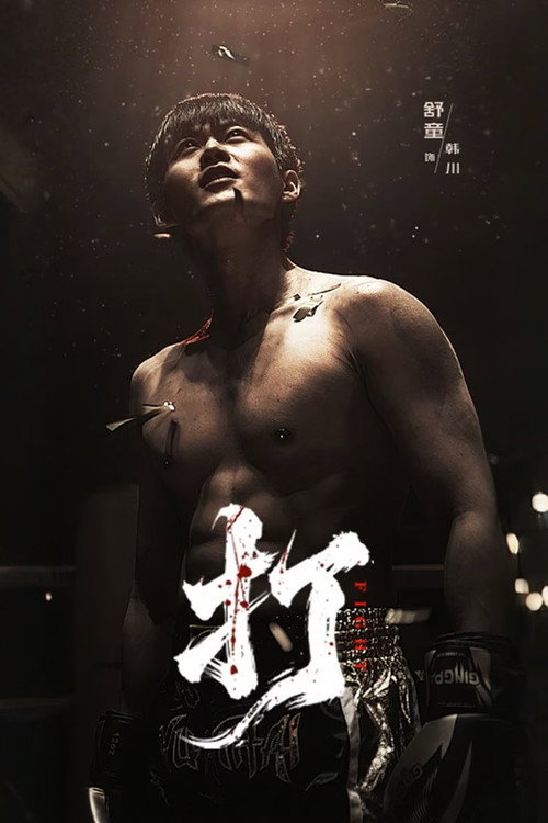 Póster de 打