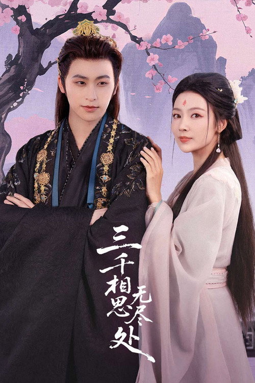 Póster de 三千相思无尽处