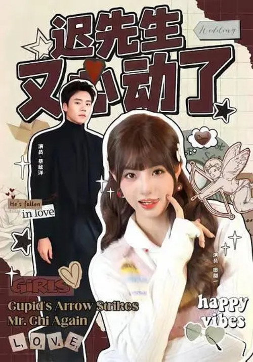 Póster de 迟先生又心动了