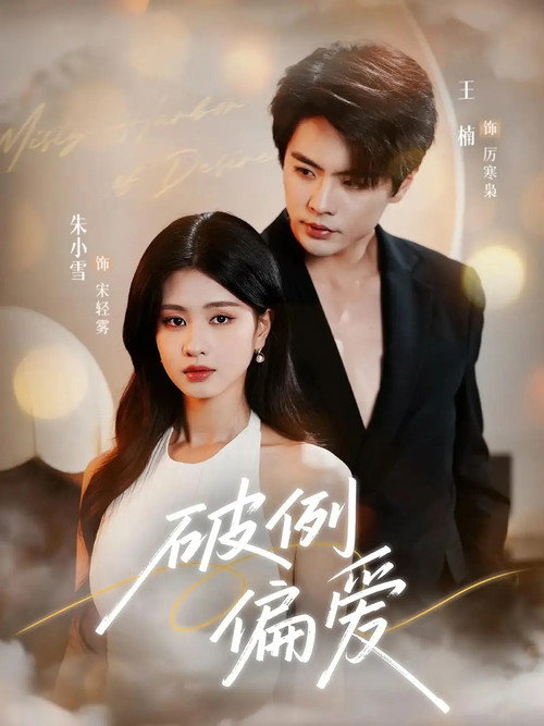 Póster de 破例偏爱