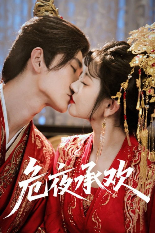 Póster de 危夜承欢