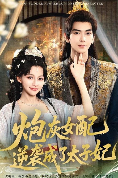Póster de 炮灰女配逆袭成了太子妃