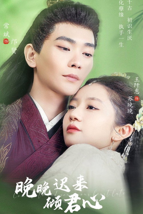 Póster de 晚晚迟来倾君心