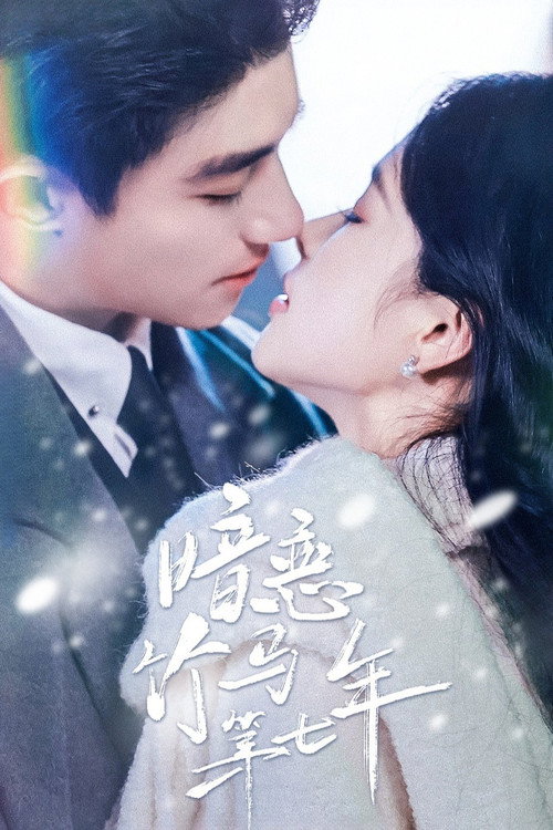 Póster de 暗恋竹马第七年
