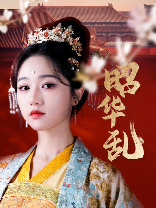 Póster de 昭华乱