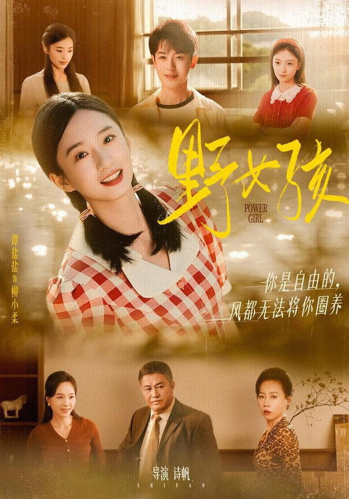 Póster de 野女孩