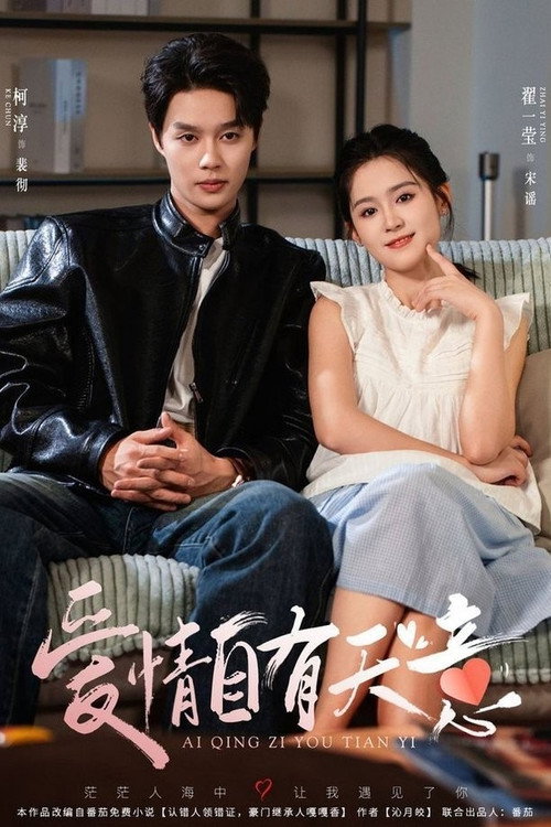 Póster de 爱情自有天意