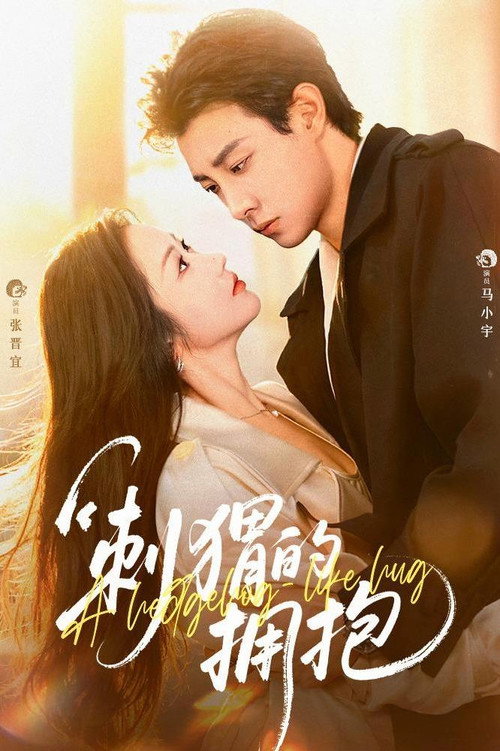 Póster de 刺猬的拥抱