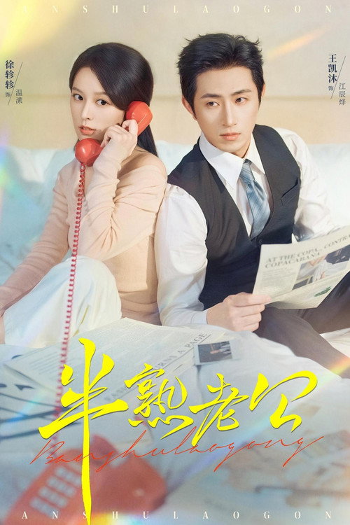 Póster de 半熟老公