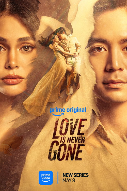 Póster de Love Is Never Gone