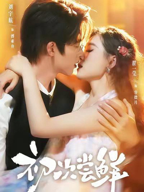 Póster de 初次尝鲜