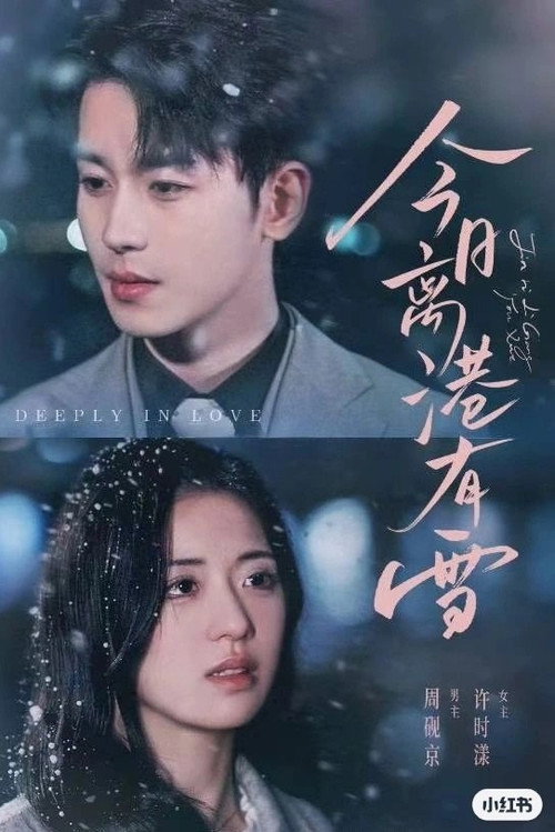 Póster de 今日离港有雪