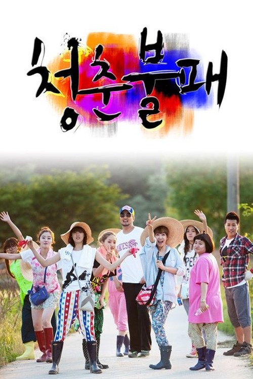 Póster de 청춘불패