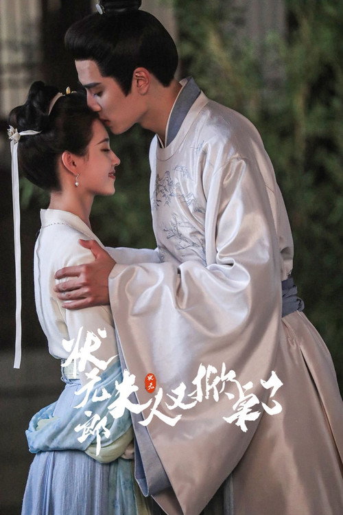 Póster de 状元郎，夫人又掀桌了